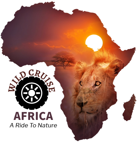 Wild Cruise Africa